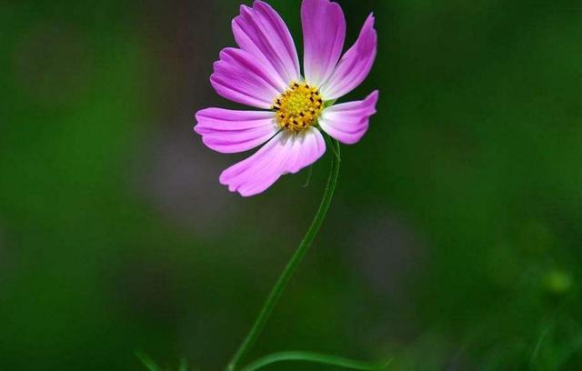 你痛得撕心裂肺，世界依然如此安靜