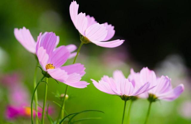 你痛得撕心裂肺，世界依然如此安靜