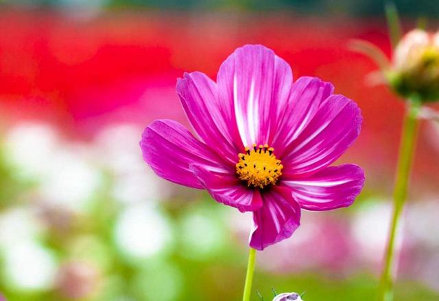 你痛得撕心裂肺，世界依然如此安靜