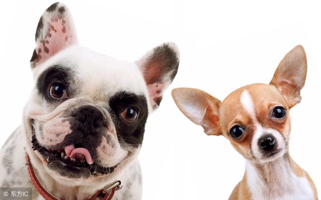 一個人能活多久？ 這20個生活習慣最影響壽命！