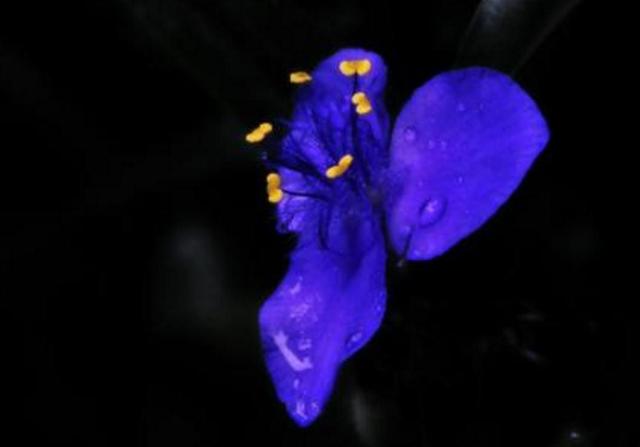 從今以後！ 不再天真！