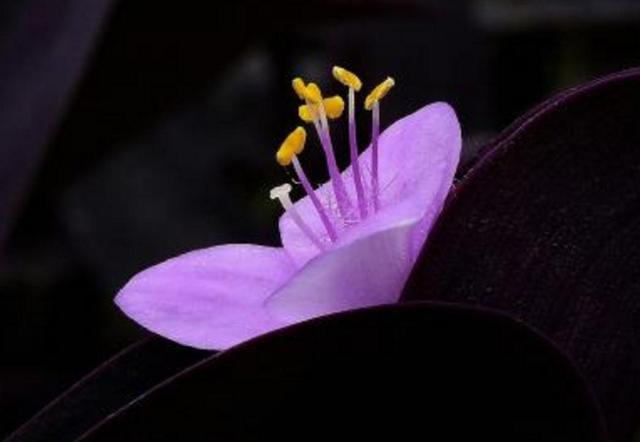 從今以後！ 不再天真！