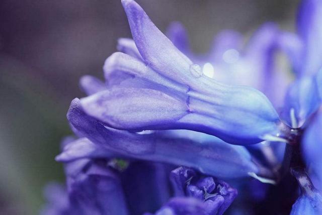 從今以後！ 不再天真！