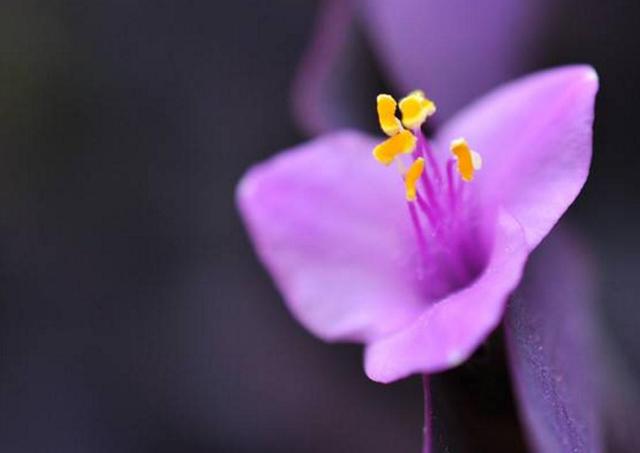 從今以後！ 不再天真！