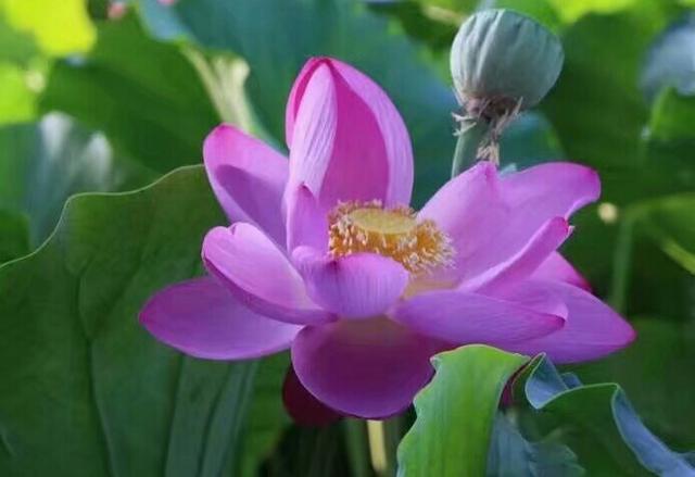 做到的是能力，得到是收穫！