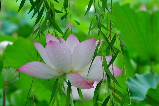 做到的是能力，得到是收穫！