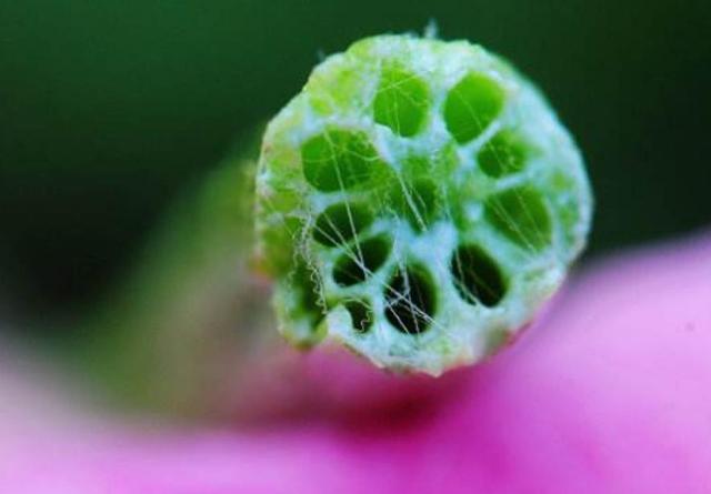 外表看起來老實的人，我們要提防