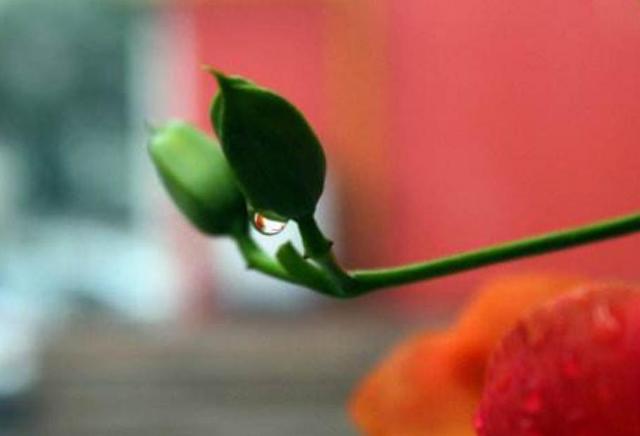 外表看起來老實的人，我們要提防