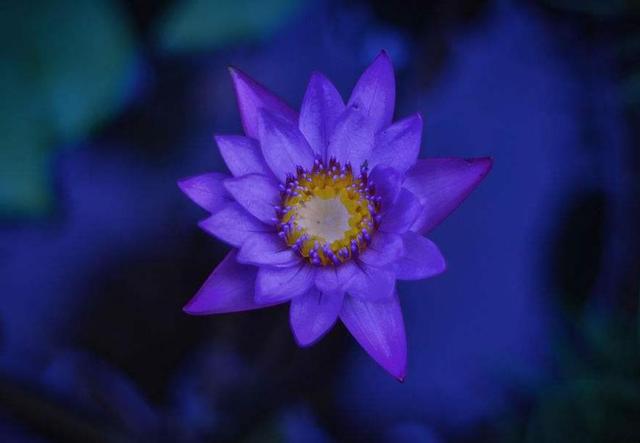 外表看起來老實的人，我們要提防