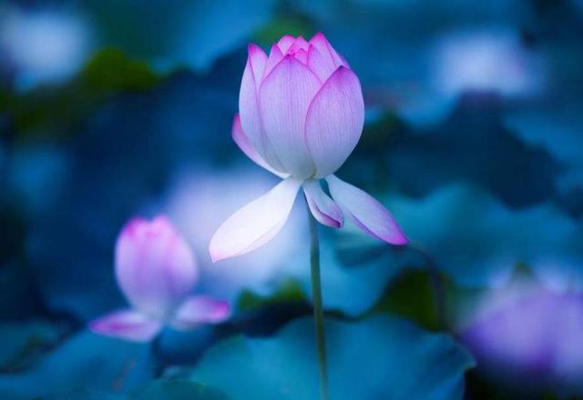 外表看起來老實的人，我們要提防