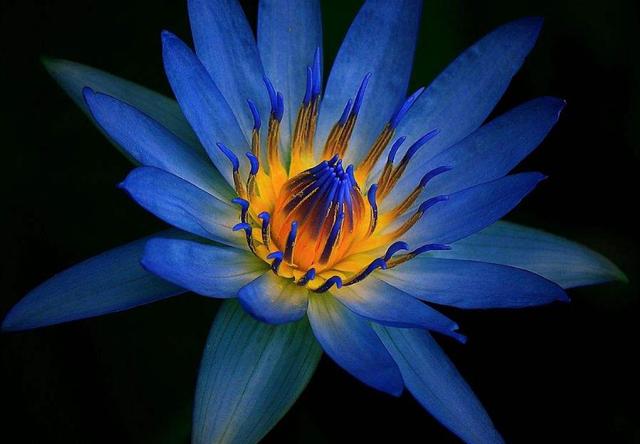 外表看起來老實的人，我們要提防