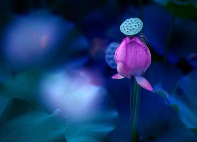 外表看起來老實的人，我們要提防