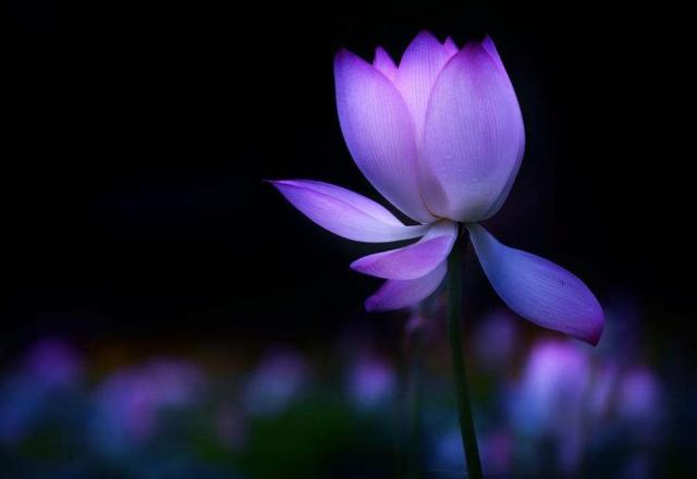 外表看起來老實的人，我們要提防