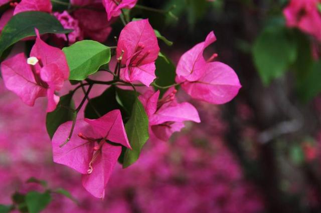 人到六十，別忘了把這四份通知告知親朋好友