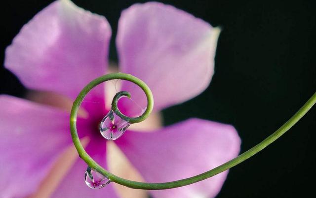 心涼透了,就放下了