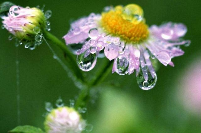 心涼透了，就放下了