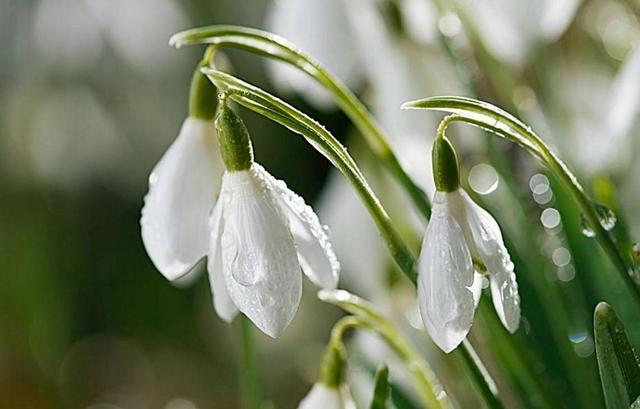 心涼透了，就放下了