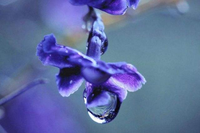 心涼透了,就放下了