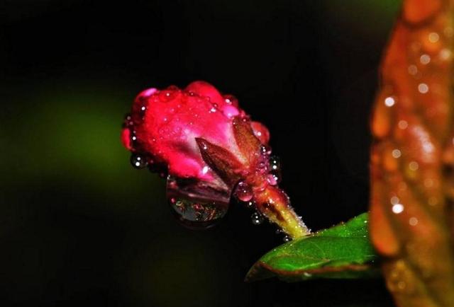 心涼透了,就放下了