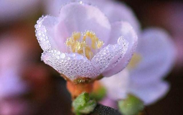 心涼透了,就放下了