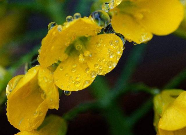 心涼透了,就放下了