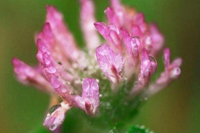 心涼透了,就放下了