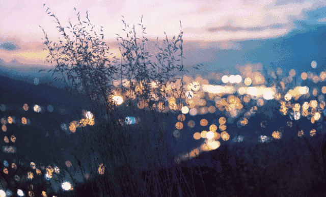 錢，是感情的照妖鏡，也是人品的試金石