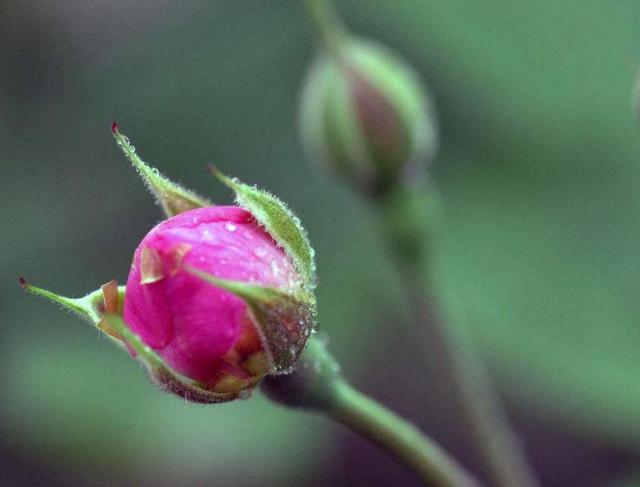 選擇了簡單生活的人，往往經歷了世事的滄桑