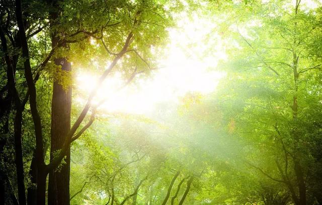 靠別人，永遠不如靠自己！