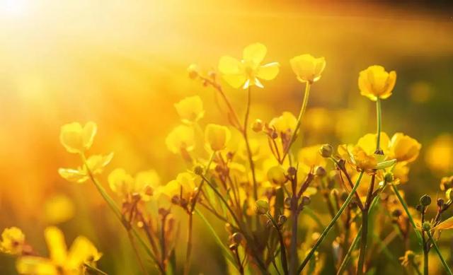 靠別人，永遠不如靠自己！