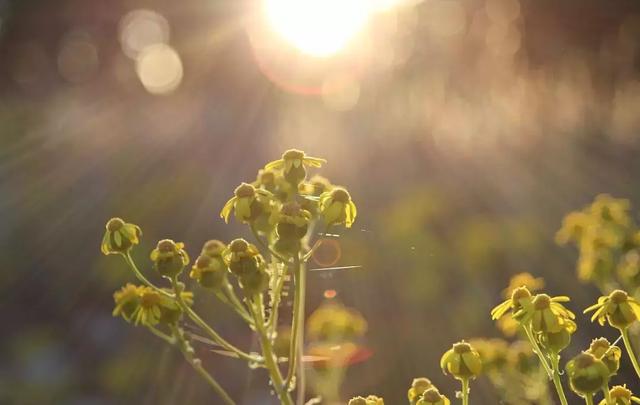 靠別人，永遠不如靠自己！