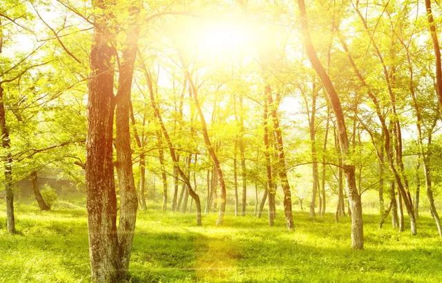 靠別人，永遠不如靠自己！