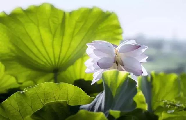 靜，是一個人的法寶！