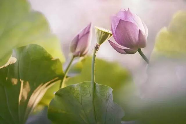 靜，是一個人的法寶！