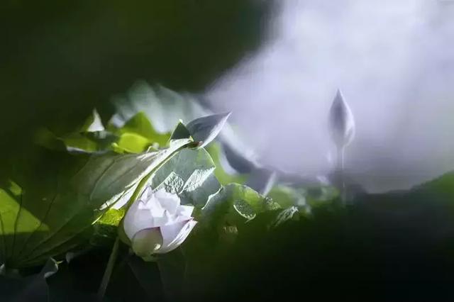 靜，是一個人的法寶！