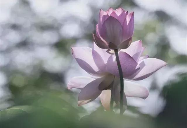 靜，是一個人的法寶！