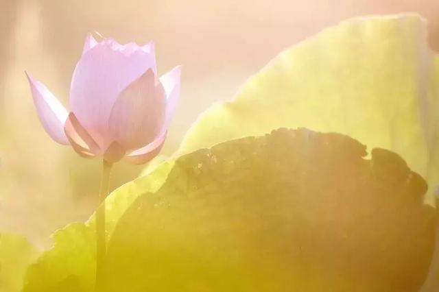 靜，是一個人的法寶！