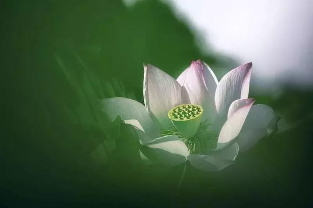 靜，是一個人的法寶！