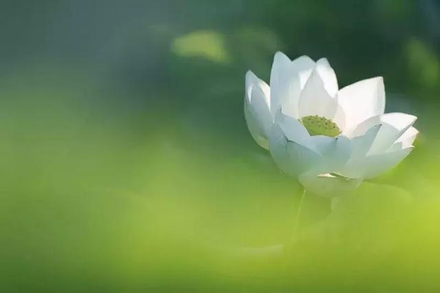 靜，是一個人的法寶！