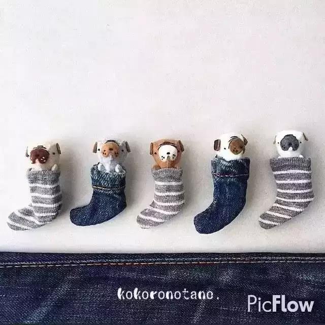 真家裡有礦系列！ 這便當也太豐富了吧