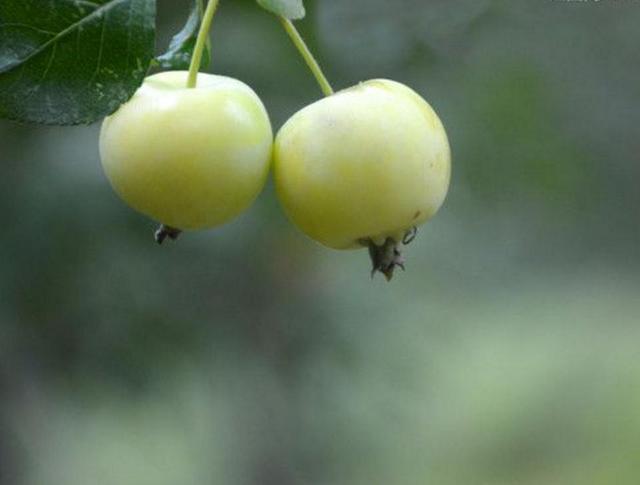 一等男人，下班回家