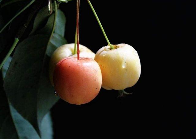 一等男人，下班回家