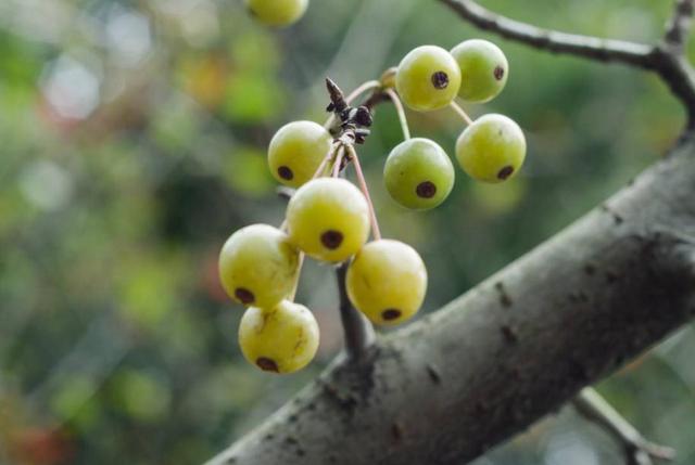 一等男人，下班回家