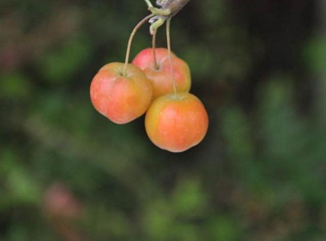 一等男人，下班回家