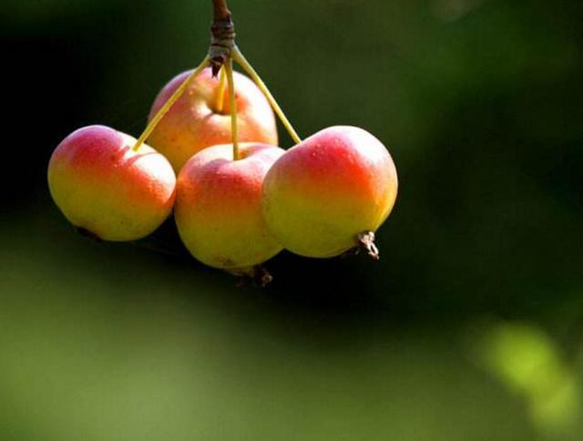 一等男人，下班回家