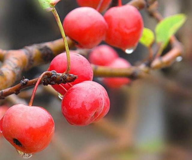 一等男人，下班回家