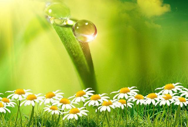 人生想開看開，心安知足便好