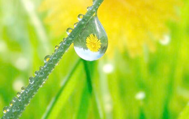 人生想開看開，心安知足便好