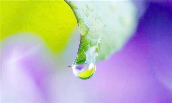 人生想開看開，心安知足便好