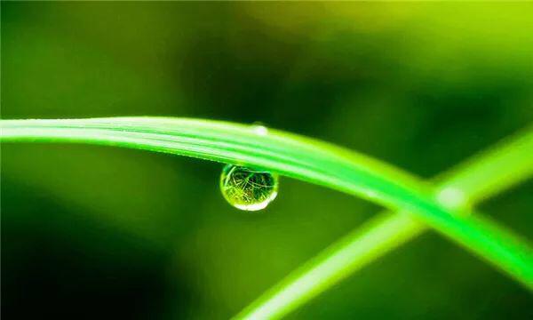 人生想開看開，心安知足便好